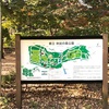 林試の森公園（目黒区）で過ごす時間