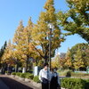 「富士見公園」付近の木々の紅葉風景！！