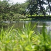【キャンプ場紹介】大池公園キャンプ場