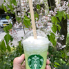 ミントグリーンがよく映えるGOHOBIメロンフラペチーノ