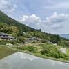 お米はどうやってできるの？田植えから収穫までの豆知識【小学生向け】自由研究にも◎