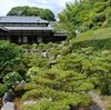 名勝「智積院の庭園」