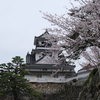 サプライズな高知訪問から始まる四国への旅
