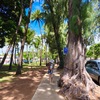 家族で行く２度目のハワイ①①ワイキキ水族館とカピオラニ公園の駐車場