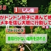 1位：普段行かない場所を訪れる＆駅に貼ってあるポスター