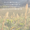溢れる感謝を持って、卒業式を迎えます