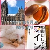 2019年5月の振り返りと、6月の目標｜6月はプライベートを大切にする