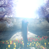 4月29日　曇り