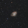 かに星雲(M1)を光害地横浜から