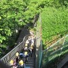 登校の風景　中ノ池方面から