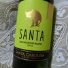 【安うまワイン】サンタ バイ サンタ カロリーナ ソーヴィニヨン・ブラン～わかりやすく美味い！
