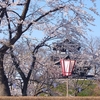 【棚橋撮影会、NOAH4.11新潟大会】今週のあれこれを書く！の巻【上越夜桜】