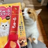 『ちゅーるスプーン』は、食いしん坊で袋を噛んでしまう猫さんにおすすめ！