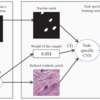 Robust Histopathology Image Analysis: to Label or to Synthesize?