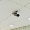 和泉多摩川駅 の ツバメ君！