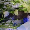 精霊さんたちからの無言の抗議・・・