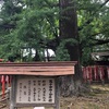 お世話になっている神社⛩