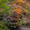 遠山紅葉狩り続きです