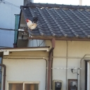 子育て主婦の頭の中