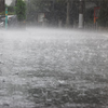 日本列島雨模様、お盆休み散々です！わたしはお仕事です！
