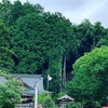 🐲賀茂神社✨