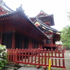 雨・風・・荒れた一日が過ぎ・・