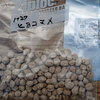 ヒヨコ豆の種まき