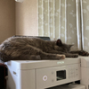 夏ですねー