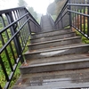 ハイキング初心者が霧降高原キスゲ平園地の階段を登る時間は？何段ある？クチコミレビュー！