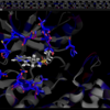 【PyMOL】どこが違うのかな？