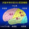 ピンカー　対　トマセロ (6) ”言語獲得”の｢問題｣