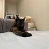 どの角度からみても。