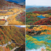 紅葉シーズン 岩手 完全ガイド：見頃時期（10月・11月）・絶景紅葉ランキング・紅葉ドライブ情報【2025年最新】