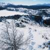 <山行記録>鷲ヶ峰 ～プチラッセルソロ登山～ 2025.1.11