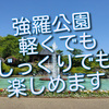 箱根の強羅公園は、軽くでもじっくりでも楽しめるのでお薦めです！