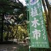 靭公園、秋の植木市！植木屋21さんのブースが最高に面白かった。