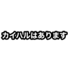 魂を揺らしたカイハル〜2024〜