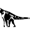 “ティタノサウルス”・コルバーティ