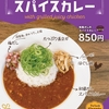 松屋から「和風だしのスパイスカレー」が新登場！店舗限定メニュー、たっぷり青ネギ、ほぐし鶏などを盛りつけた新商品