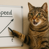 【後編】PageSpeed改善の具体策7選｜初心者でもできる速度アップの方法をやさしく解説！