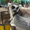 香川旅行でしろとり動物園へ行ってきました！