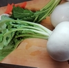甘くて柔らかい、りっぱな蕪