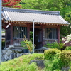 奈良の山々が見渡せる金剛山麓の菩提寺を訪ねる