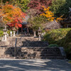 地元の紅葉巡り（2024.12.01）Ⅳ