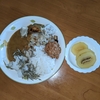 朝カレーを作って、食べて、後悔した物語