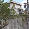 次の日曜日（12月15日）は講習会です
