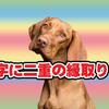 Elementsで文字の二重縁取り