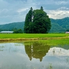 トトロの森の棚池（仮称）（山形県米沢）