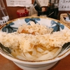 殿堂入りのお皿たち　その３８７【やしま　の　天ぷらうどん】