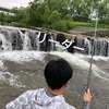 北北海道「旭River's」始動！